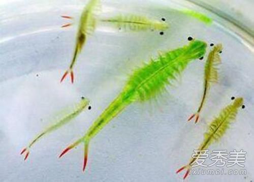 ��ŮϺ���Գ��� ��ŮϺ��Ϻ��