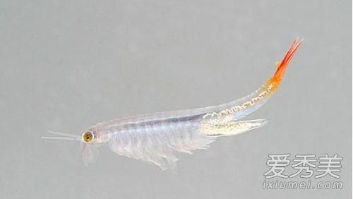 ��ŮϺ���Գ��� ��ŮϺ��Ϻ��