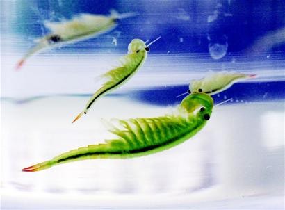 ��ŮϺ���Գ��� ��ŮϺ��Ϻ��