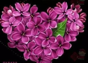 527��ʲô��˼ 527��ʲô����