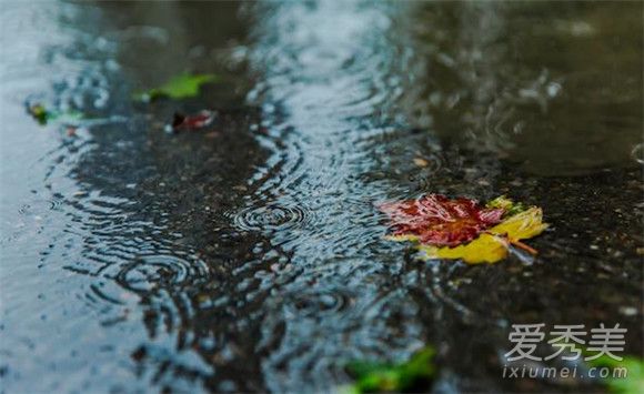 Ϊʲôÿ��߿������� Ϊʲô�߿���������