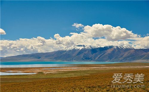 �������ǵ����Ӧ���Ҳ������Ұ����Ҳ�����ʲô�� ��������ʽ���