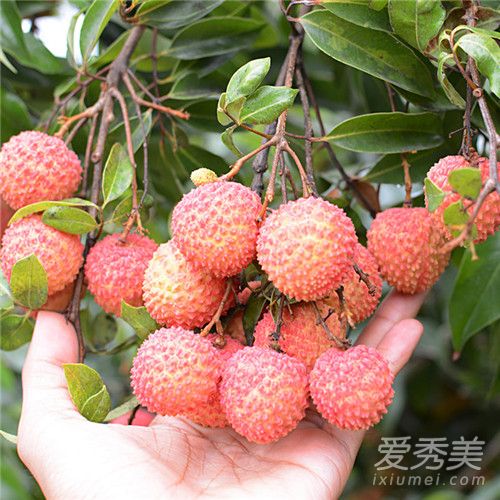 ��ζ��֦����Ǯһ��2018 ��ζ��֦Ϊʲô��ô��