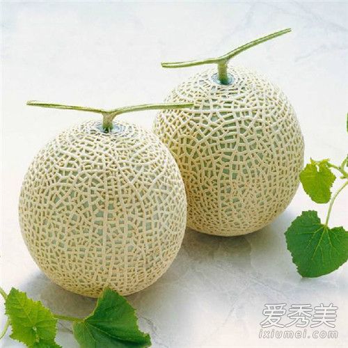 ���ƹϺ͹��ܹ���ʲô���� ���ƹϺ͹��ܹ��ĸ���