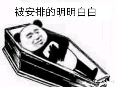 �����ŵ������װ�ʲô��˼ �����ŵ������װ׵ı����