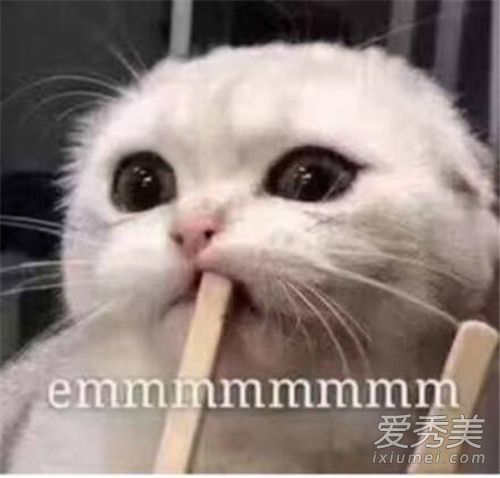 恶魔妈妈买面膜是什么梗 恶魔妈妈买面膜是什么意思