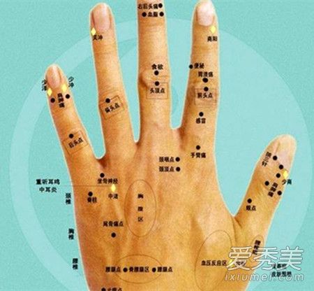 ��������ͼ�� �������ﳤ���