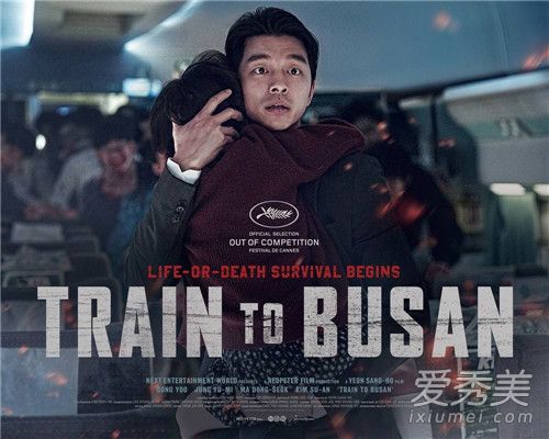 ��ɽ�о������ ��ɥʬ���ֲ���������