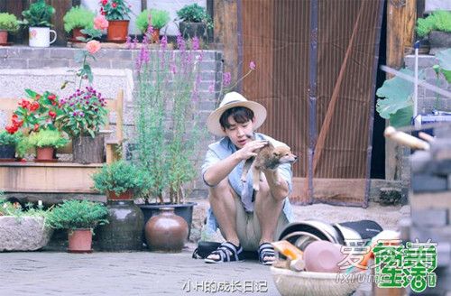 ���ܻ��Ǹ������� ���ܻ��������ϼ�ͥ��������