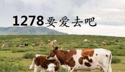 1278ʲô˼ 1278ʲô