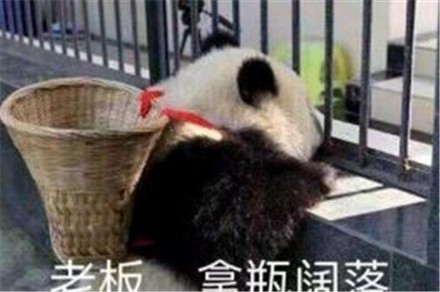 1278ʲô˼ 1278ʲô