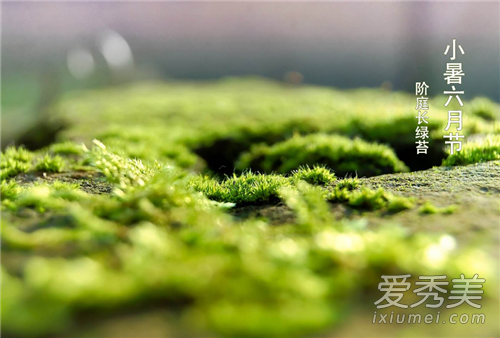 ������������� 2018����Ǽ��¼���