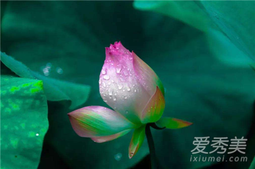 ������������� 2018����Ǽ��¼���