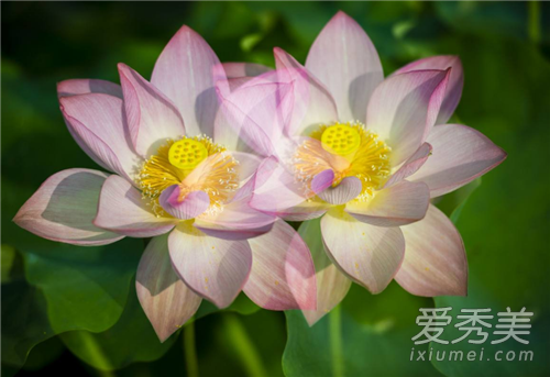 ������������� 2018����Ǽ��¼���