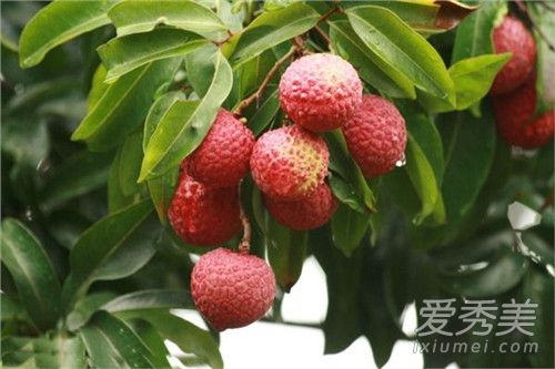 孕妇不能吃哪些水果 孕妇不能吃的十大水果