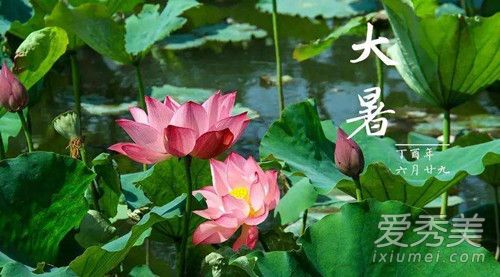 大暑是什么意思啊 大暑节气的含义