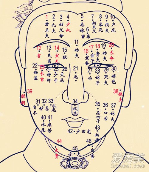 Ů���沿����ͼ�� Ů�����ﳤ���и�