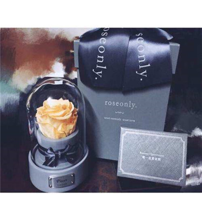 roseonlyܱ roseonlyǮ