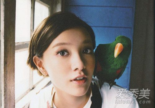 ���ɽ���̨��ܳ��� ���ɽ����ʷ��Ƥ