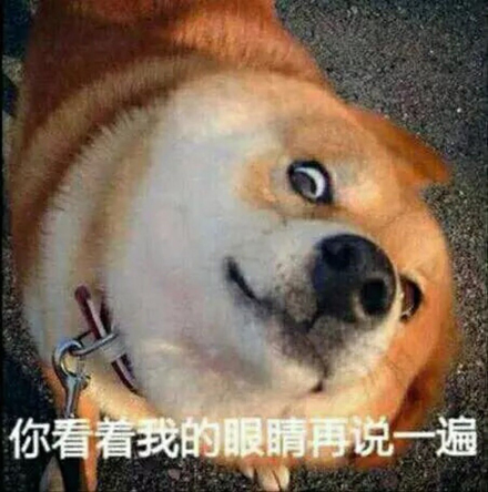 ��������˫����ʲô��˼ ˫����ʲô��