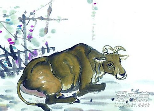 ��ţ�ļ��³������ ��ţ�˼��³��������