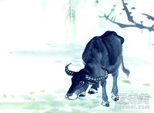 ��ţ�ļ��³������ ��ţ�˼��³��������