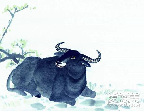 ��ţ�ļ��³������ ��ţ�˼��³��������