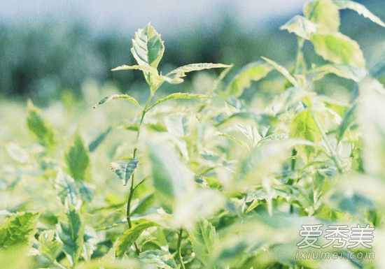 �μ��Լ������˿�ͷ �μ���ͷ�¹���ʲô��˼