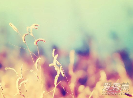 �μ��Լ������˿�ͷ �μ���ͷ�¹���ʲô��˼