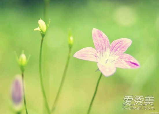 梦见自己杀了很多人是什么意思 梦见我杀人了什么预示