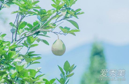 梦见看见别人杀人见血 梦见看见别人杀人什么意思