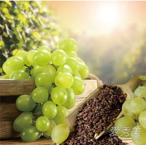 �����������ѵ����� ��������ʲô