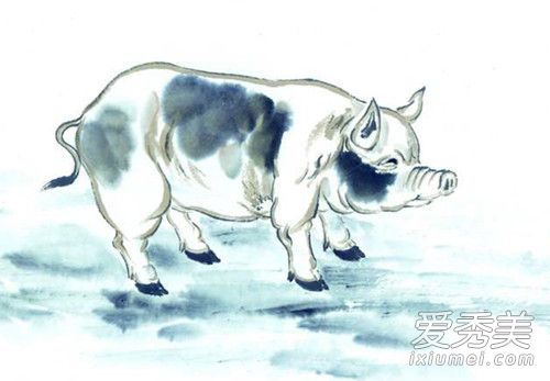 1971����������2019�������˳�