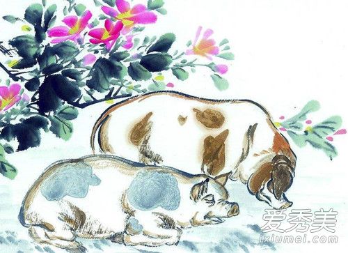 1971����������2019�������˳�