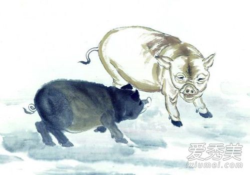 1971����������2019�������˳�