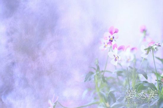 �μ�������ʲô��˼ �μ���������һƬ���