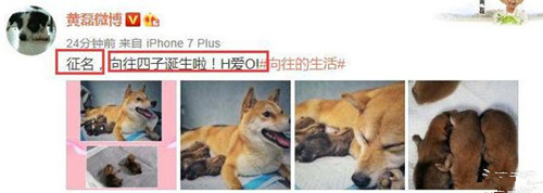 ���ڷ��Ļظ�������ʲôԭ�� ���ڷ��Ļظ�����˵��ʲô