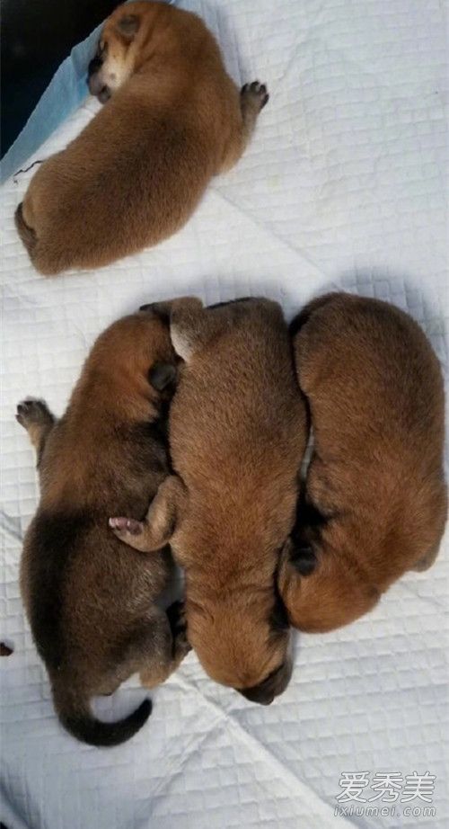 ���ڷ��Ļظ�������ʲôԭ�� ���ڷ��Ļظ�����˵��ʲô