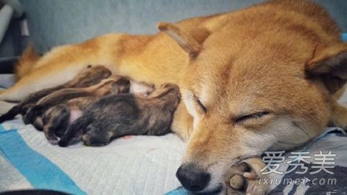 ���ڷ��Ļظ�������ʲôԭ�� ���ڷ��Ļظ�����˵��ʲô