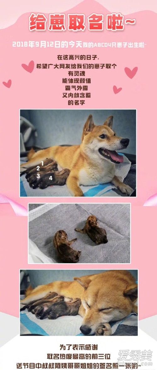 ���ڷ��Ļظ�������ʲôԭ�� ���ڷ��Ļظ�����˵��ʲô