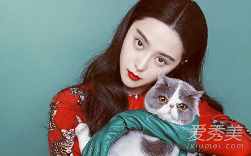 范冰冰风波后首发是怎么回事 范冰冰风波后首发说了什么