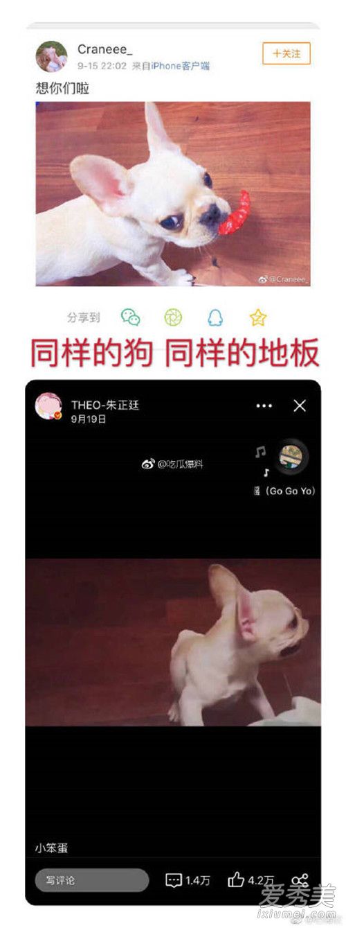 ����͢Ů������˭ ����͢Ů�����������