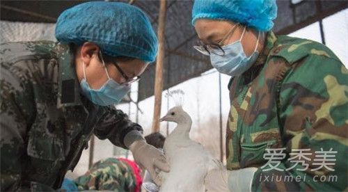 ���Ϸ����������ô���� ���Ԥ��������