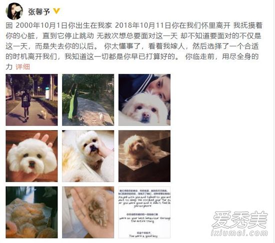 ��ܰ�跢�ĵ�������ô���� ��ܰ�跢�ĵ���ʲô