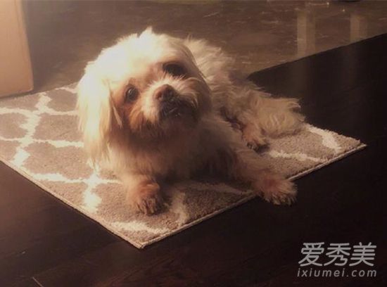 ��ܰ�跢�ĵ�������ô���� ��ܰ�跢�ĵ���ʲô