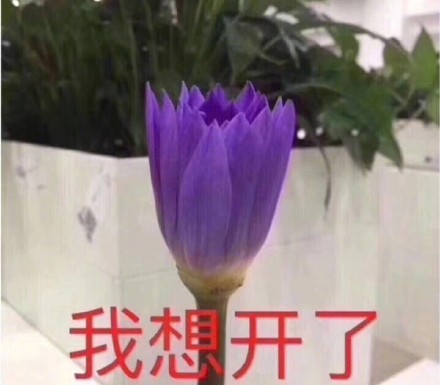 ���뿪�����Ա���ʲô��ʲô��˼ ���뿪�����Ա��˱����