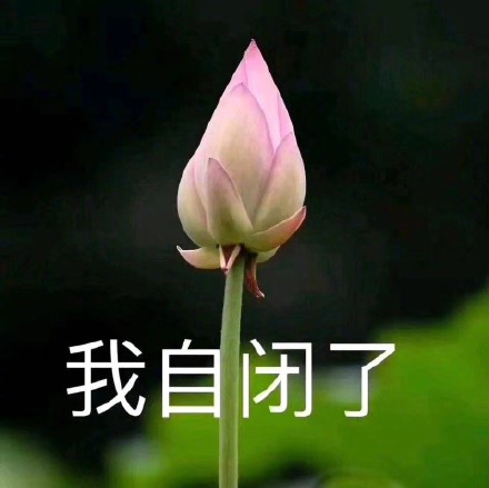 ���뿪�����Ա���ʲô��ʲô��˼ ���뿪�����Ա��˱����