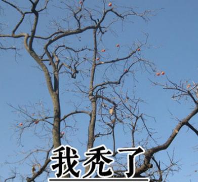 ���뿪�����Ա���ʲô��ʲô��˼ ���뿪�����Ա��˱����
