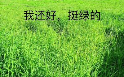 ���뿪�����Ա���ʲô��ʲô��˼ ���뿪�����Ա��˱����