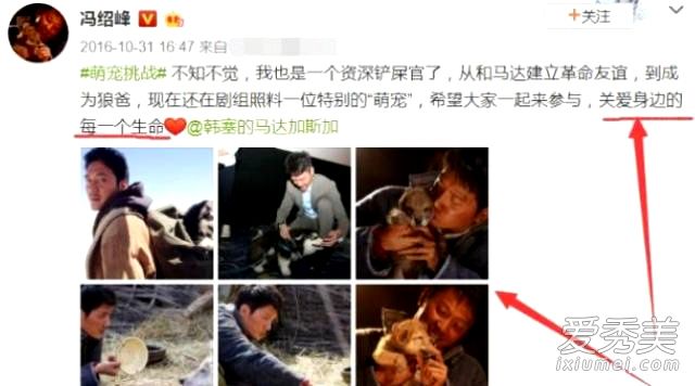 ���ܷ廻ͷ����ô���� ���ܷ廻��ʲôͷ��